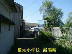 根知小学校、新潟県の廃校