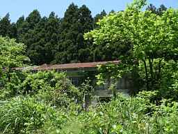 橋立小学校、木造校舎・廃校、新潟県