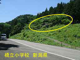 橋立小学校、新潟県の木造校舎・廃校