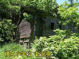 橋立小学校、新潟県の木造校舎・廃校