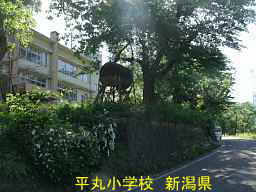 新潟県の廃校「平丸小学校」