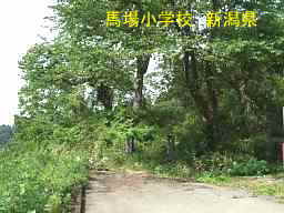 新潟県の廃校跡地「馬場小学校」