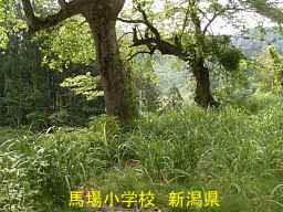 新潟県の廃校跡地「馬場小学校」