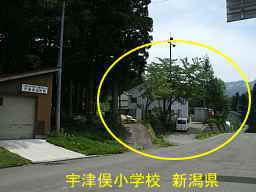 新潟県の廃校・木造校舎「宇津俣小学校」