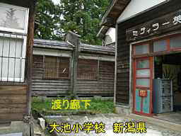 新潟県の木造校舎・廃校「大池小学校」