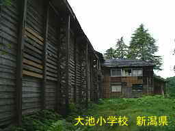 新潟県の木造校舎・廃校「大池小学校」
