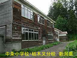 新潟県の木造校舎・廃校「中条小学校・枯木又分校」