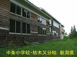 新潟県の木造校舎・廃校「中条小学校・枯木又分校」