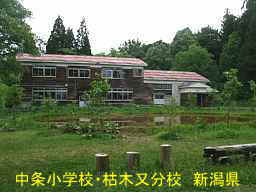 新潟県の木造校舎・廃校「中条小学校・枯木又分校」