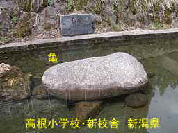 新潟県の廃校・木造校舎「高根小学校」