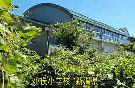 小俣小学校・体育館裏側、新潟県の木造校舎