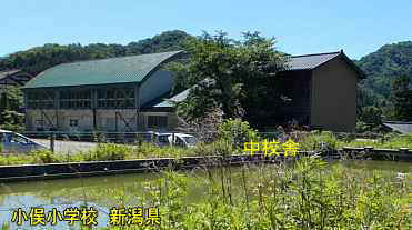小俣小学校・ブールと体育館、新潟県の木造校舎