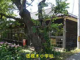 宿根木小学校、新潟県・佐渡の木造校舎・廃校