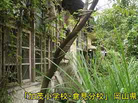 「加茂小学校・倉見分校」窓際、岡山県の木造校舎