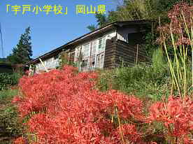 宇戸小学校、岡山県の木造校舎