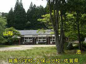 背振小学校・久保山分校のヤマザクラと池、佐賀県の木造校舎