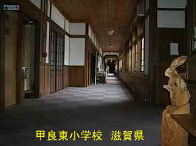 甲良東小学校・廊下3、滋賀県の木造校舎
