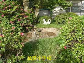 鵜鷺小学校・前庭、島根県の木造校舎