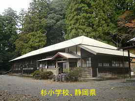杉小学校、静岡県