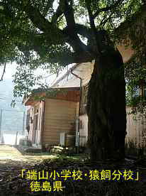「端山小学校・猿飼分校」樹木、徳島県の木造校舎