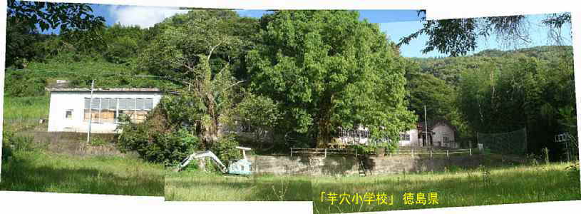 「芋穴小学校」全景、徳島県の木造校舎