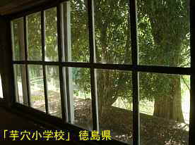「芋穴小学校」窓からの風景、徳島県の木造校舎