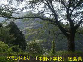 「中野小学校」グランドより桜、徳島県の木造校舎
