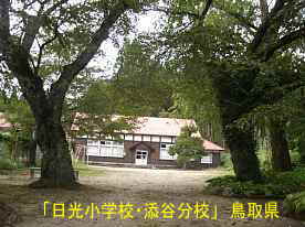 「日光小学校・添谷分校」桜、鳥取県の木造校舎