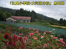 江尾小学校・大河原分校、鳥取県の木造校舎・廃校