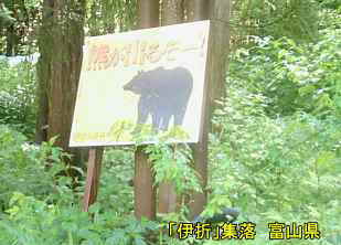 廃村「伊折」集落・熊に注意、富山県