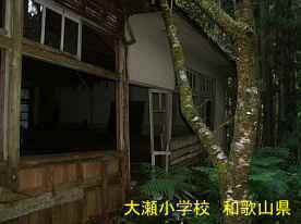 大瀬小学校・講堂の窓、和歌山県の木造校舎・廃校