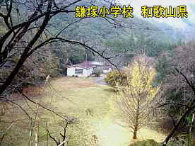 鎌塚小学校と銀杏、和歌山県の木造校舎・廃校