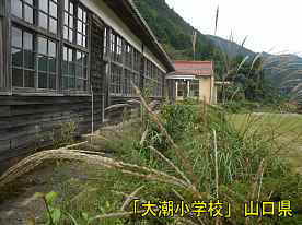 「大潮小学校」校舎とススキ、山口県の木造校舎・廃校