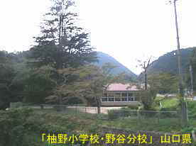 「柚野小学校・野谷分校」シンボルツリーと校舎、山口県の木造校舎・廃校