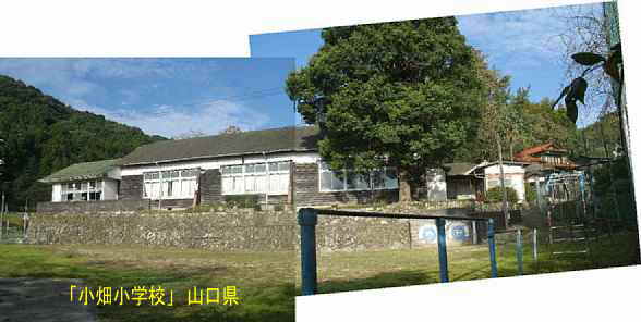 「小畑小学校」木造校舎・全景、山口県の木造校舎・廃校