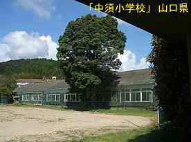 「中須小学校」シンボルツリー、山口県の木造校舎・廃校