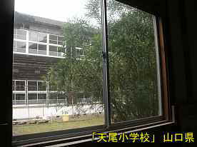 「天尾小学校」一階窓より、山口県の木造校舎・廃校