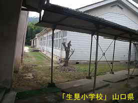 「生見小学校」渡り廊下、山口県の木造校舎・廃校