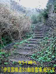 タライ岬の階段、「伊豆国横道３３観音」紀行文