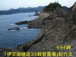 タライ岬よりの眺め、「伊豆国横道３３観音」紀行文