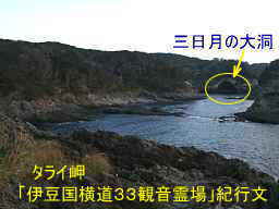 タライ岬・三日月の大洞が見えた、「伊豆国横道３３観音」紀行文