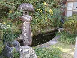 宝満寺境内の池、自転車で巡った九州西国３３観音霊場記