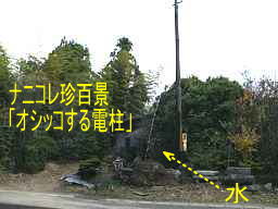 ナニコレ珍百景「電柱から水」、九州西国３３観音霊場