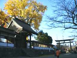 阿蘇神社、九州西国３３観音霊場記