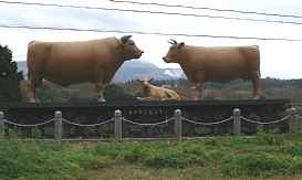 阿蘇大橋、牛のモニュメント、九州西国３３観音霊場記