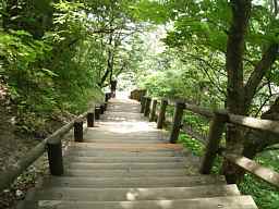 仏ケ浦の階段、自転車で巡った田名部海辺３３観音霊場記