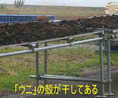 津軽海峡、ウニの干し殻、自転車で巡った田名部海辺３３観音霊場記