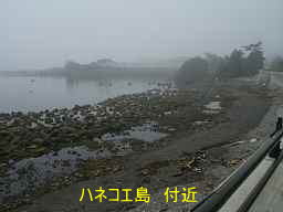 津軽海峡。ハネコエ島、田名部海辺３３観音