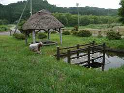野牛小学校・牛と池、青森県の木造校舎・下北半島