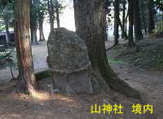 山神社の岩、信濃３３観音霊場記